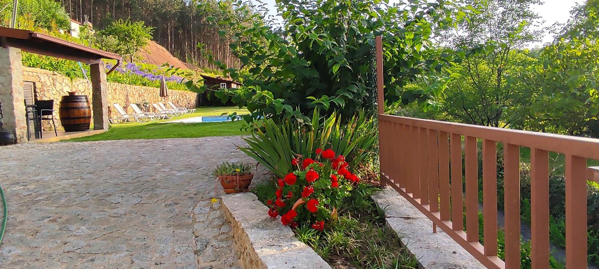 Casa Do Ribeiro Villa Sever do Vouga Exterior foto